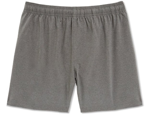 Chubbies Hybrid Swim Gym 5.5 Shorts Herr Stonehenges Rei Co-op