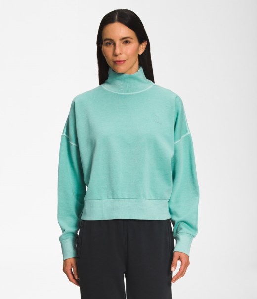 Rei Co-op Wasabi The North Face Plagg Färgämne Mock-neck Pullover Kvinnor